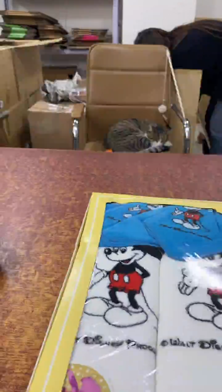 瓷片750小林轩欢迎您
