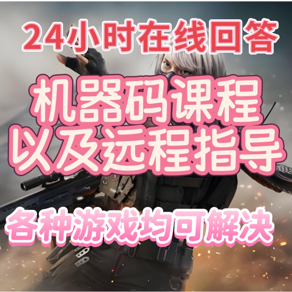 普通动态机器码静态课程远程指导