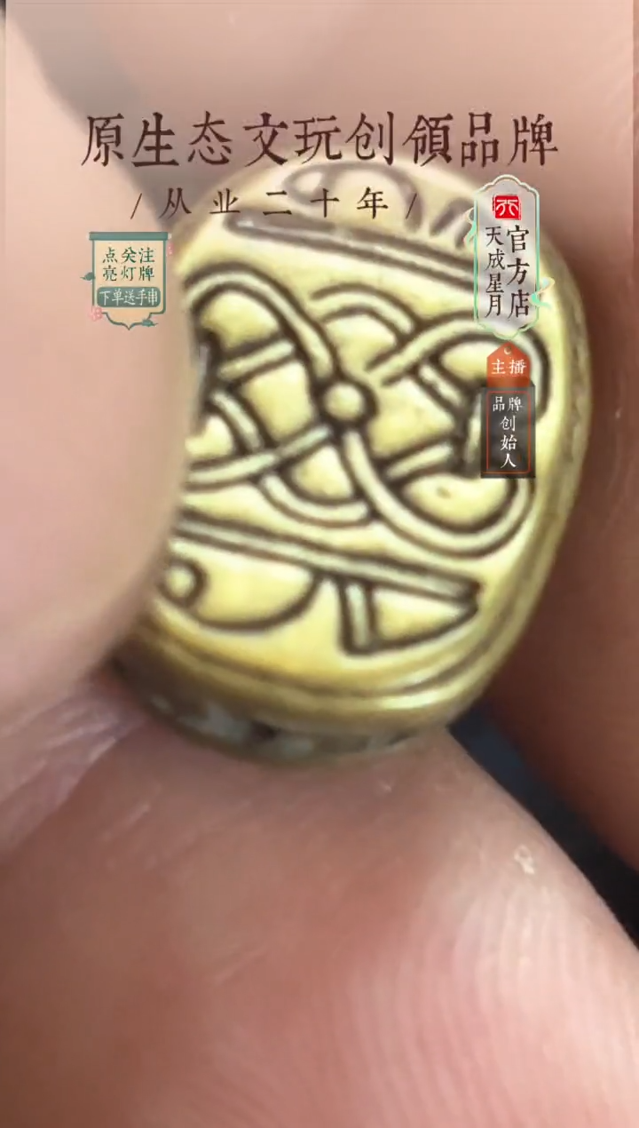 无非金属lmt  黄 圣甲虫