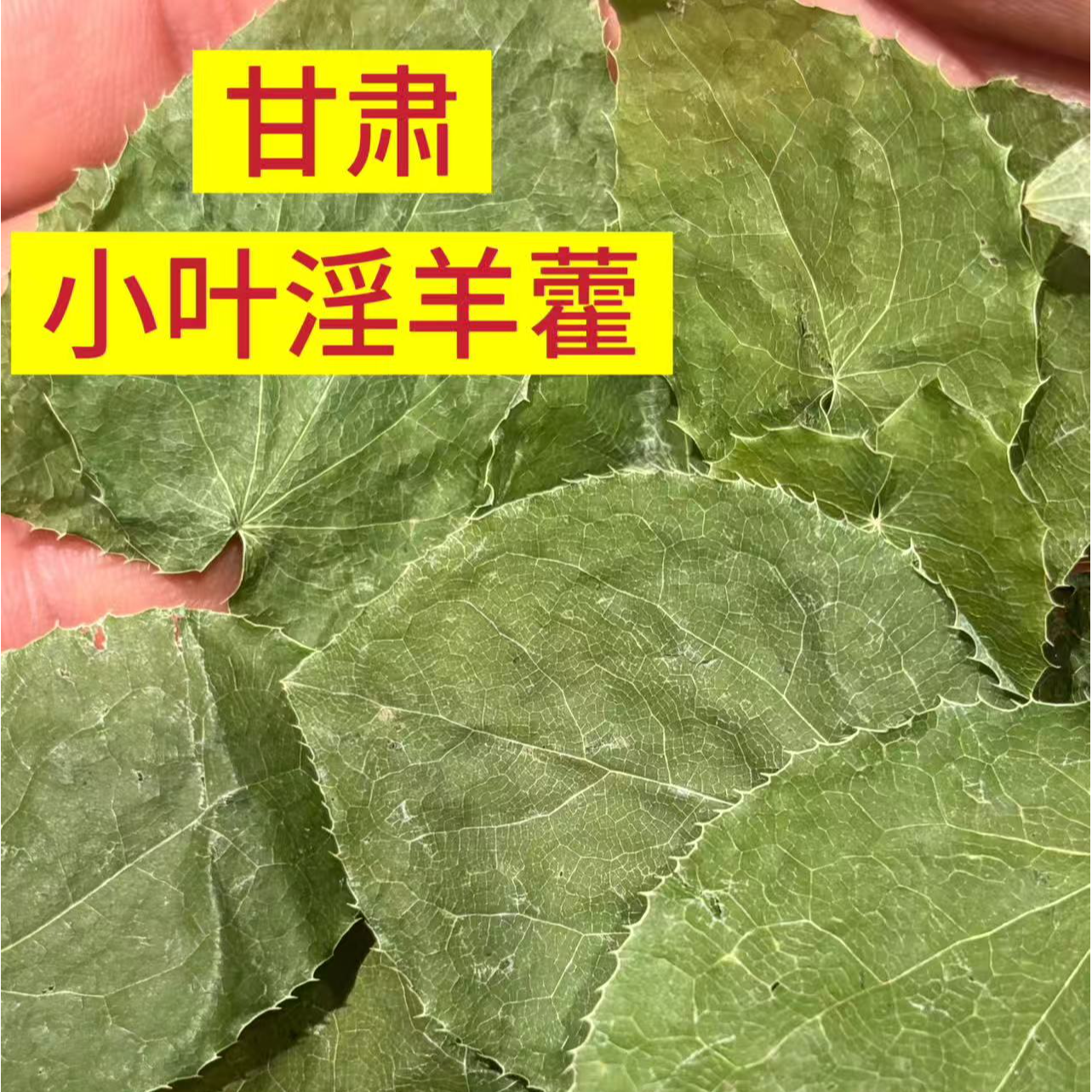 【淫羊藿】甘肃礼县小叶淫羊藿三枝九叶草整叶无杂泡水煮水