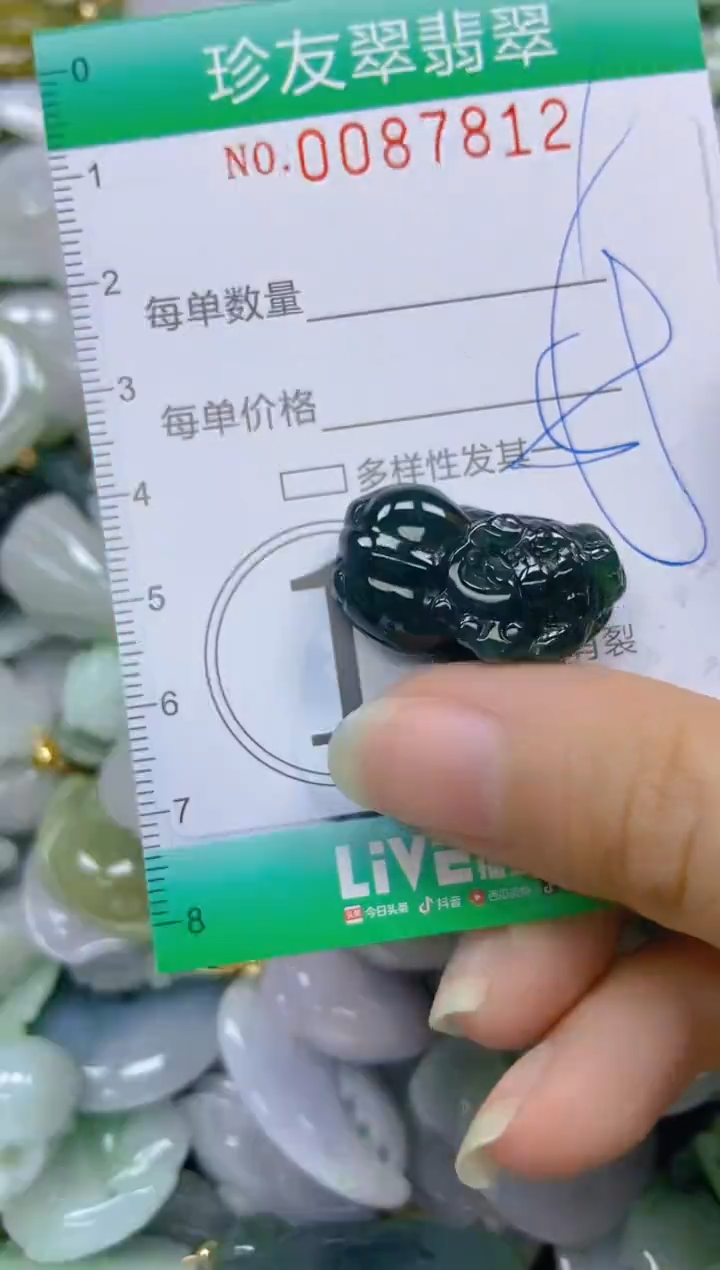 【闪购商品】翡翠颈饰未镶嵌闪购0087812