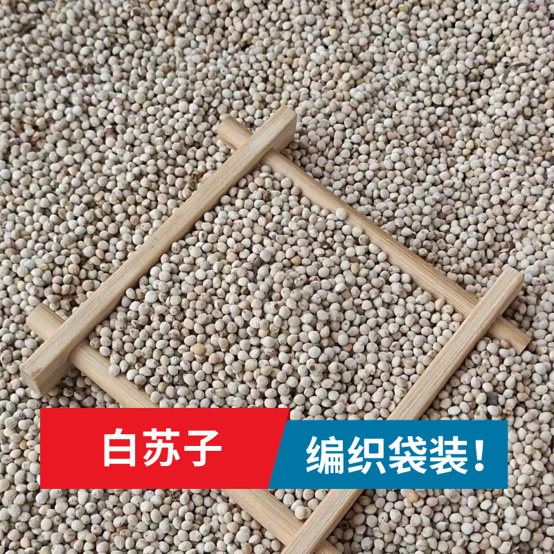 白苏子鸟食鸟粮玉鸟芙蓉鸟金青灰燕大金黄牡丹虎皮玉鸟玄凤粮食