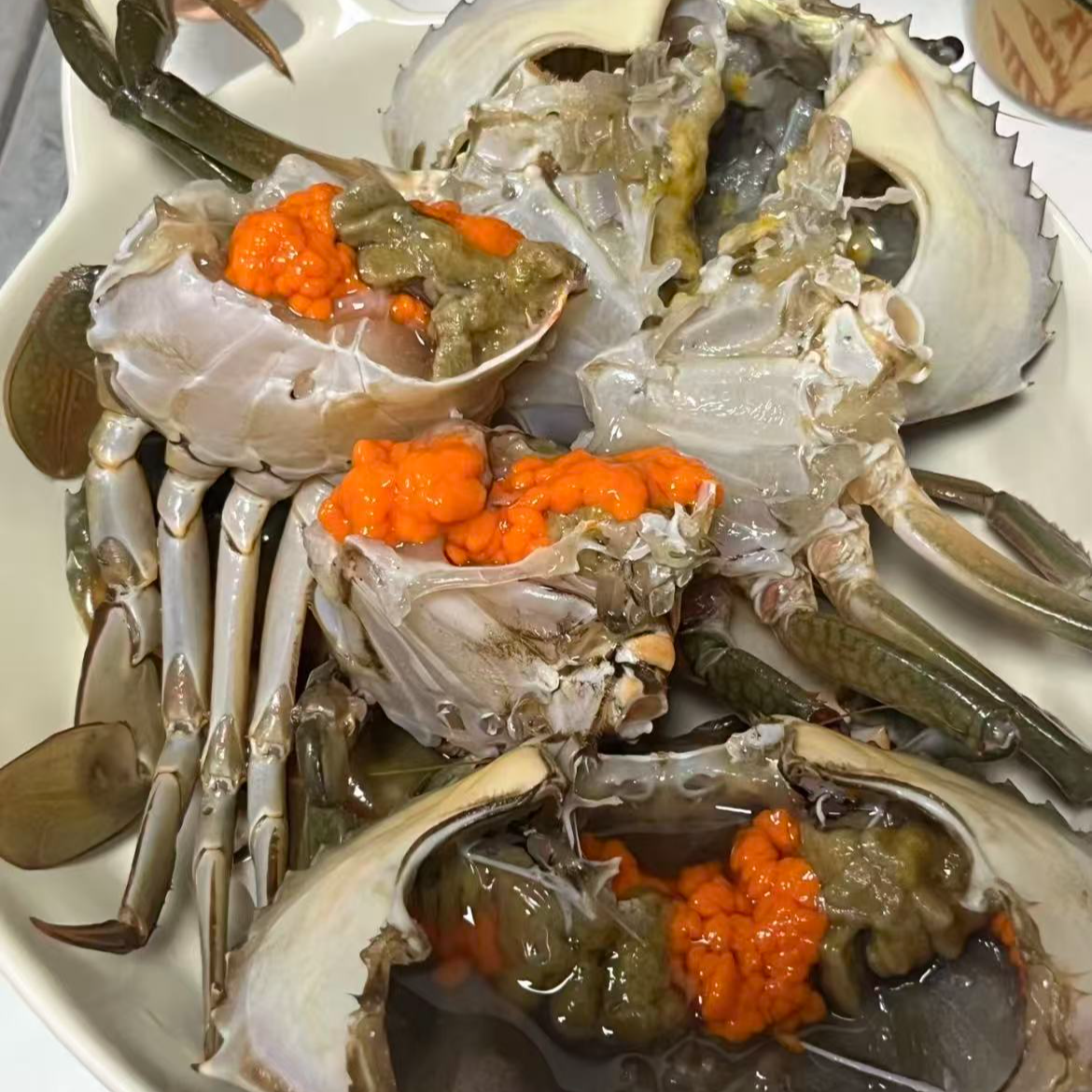 【买3只送3只】红膏蟹活发活到 青蟹母蟹 有黄有膏2-3两 夏