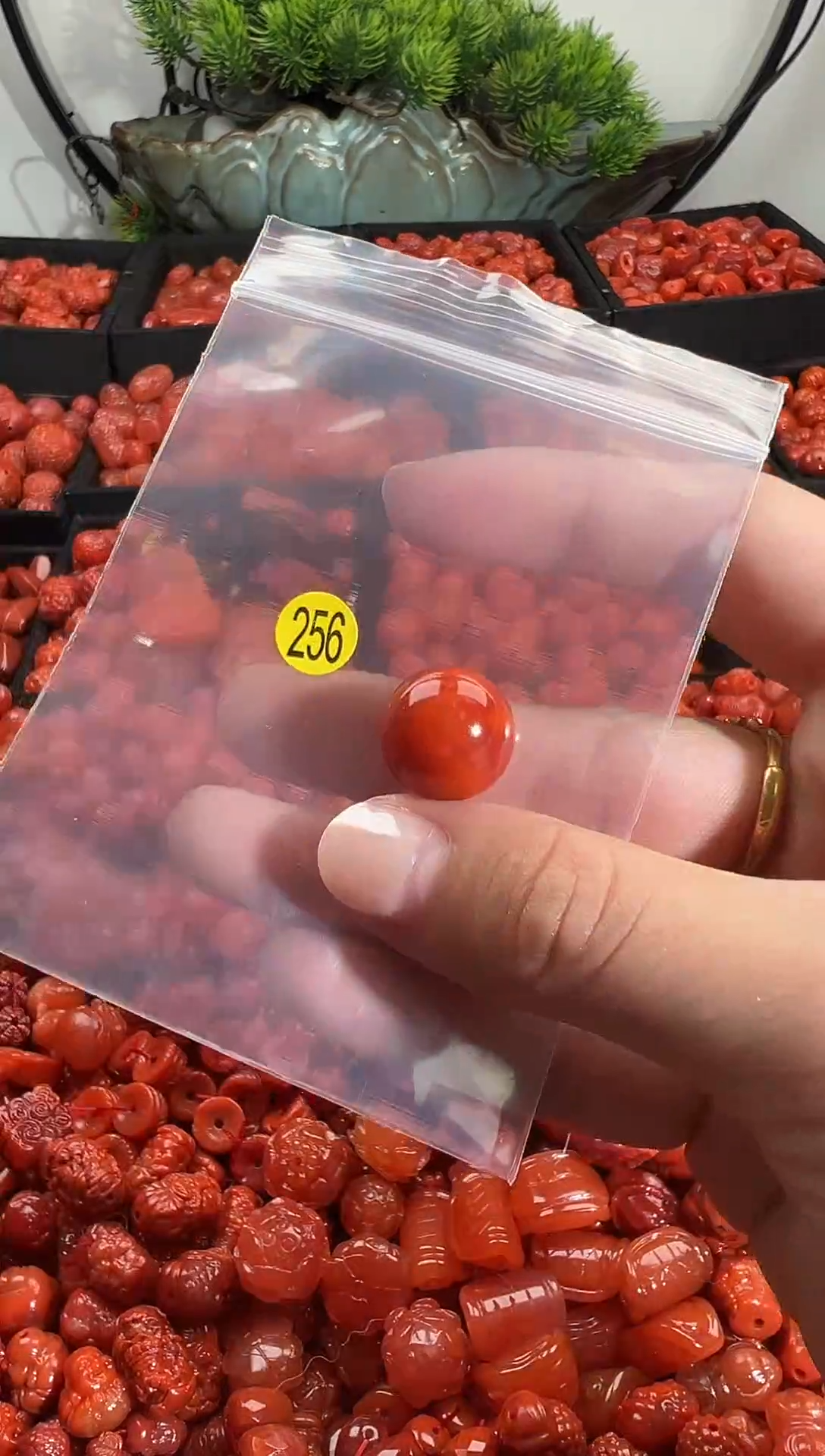 颈饰未镶嵌南红玛瑙1