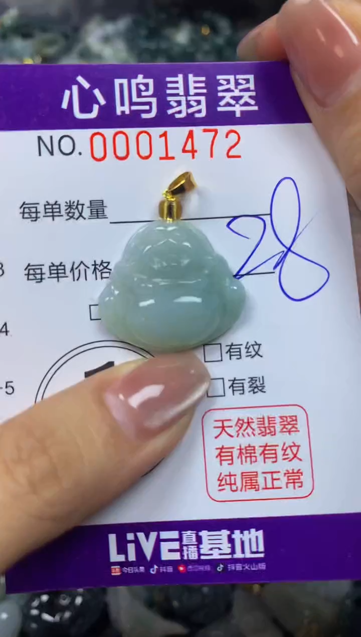 翡翠未镶嵌颈饰闪购001472