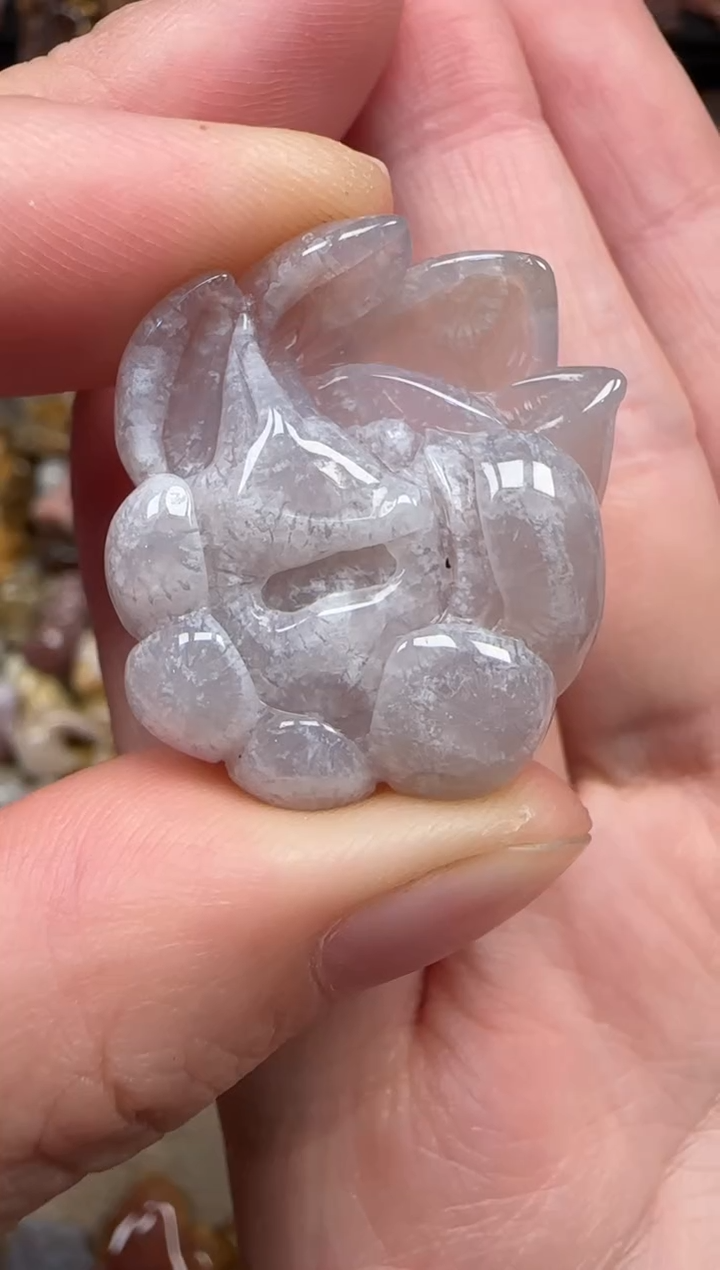 颈饰未镶嵌硅化珊瑚（珊瑚玉）584