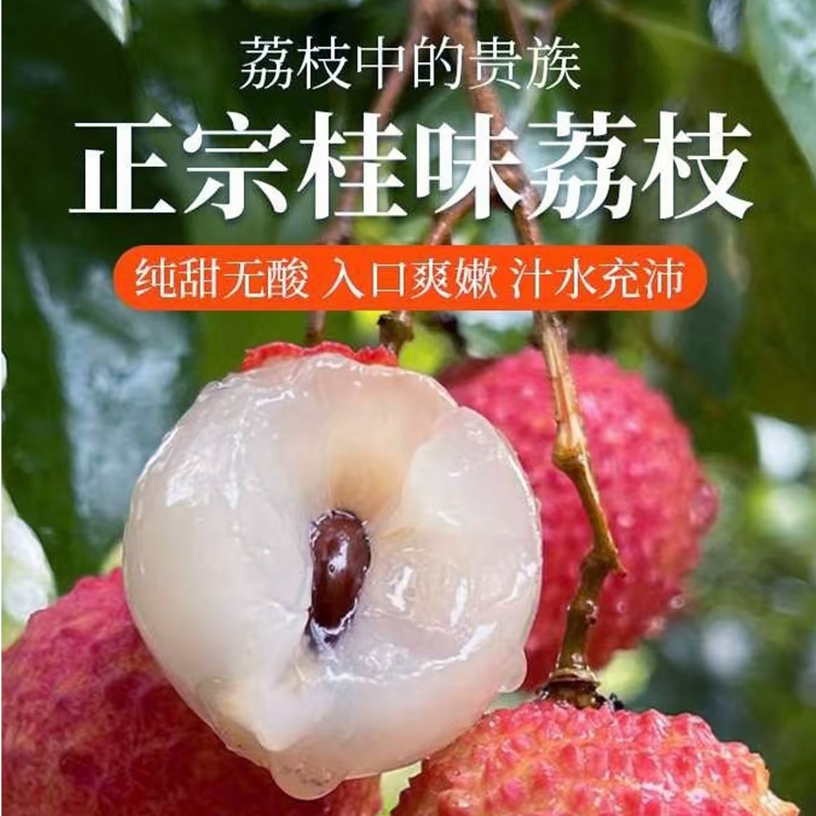 【坏果包赔】广州从化桂味荔枝3/7斤现摘现发口感软糯冷链直达