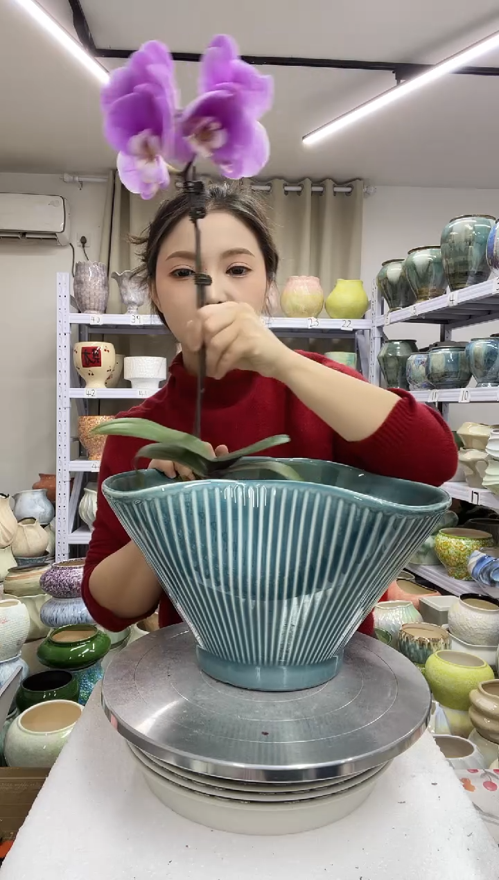 【1.3】花盆尺寸高： 17口：32