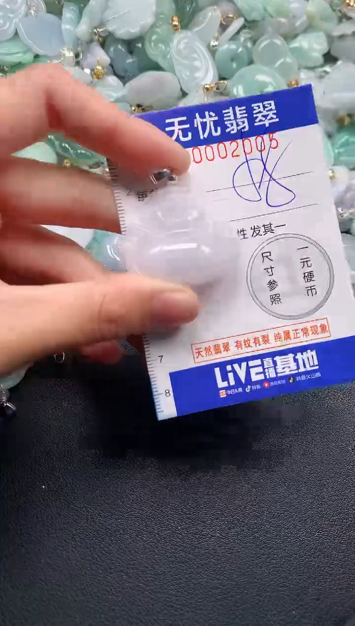 颈饰未镶嵌翡翠2005