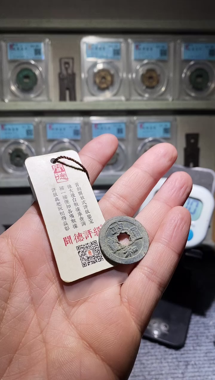 铜吉泉轩泽-政和luo36号