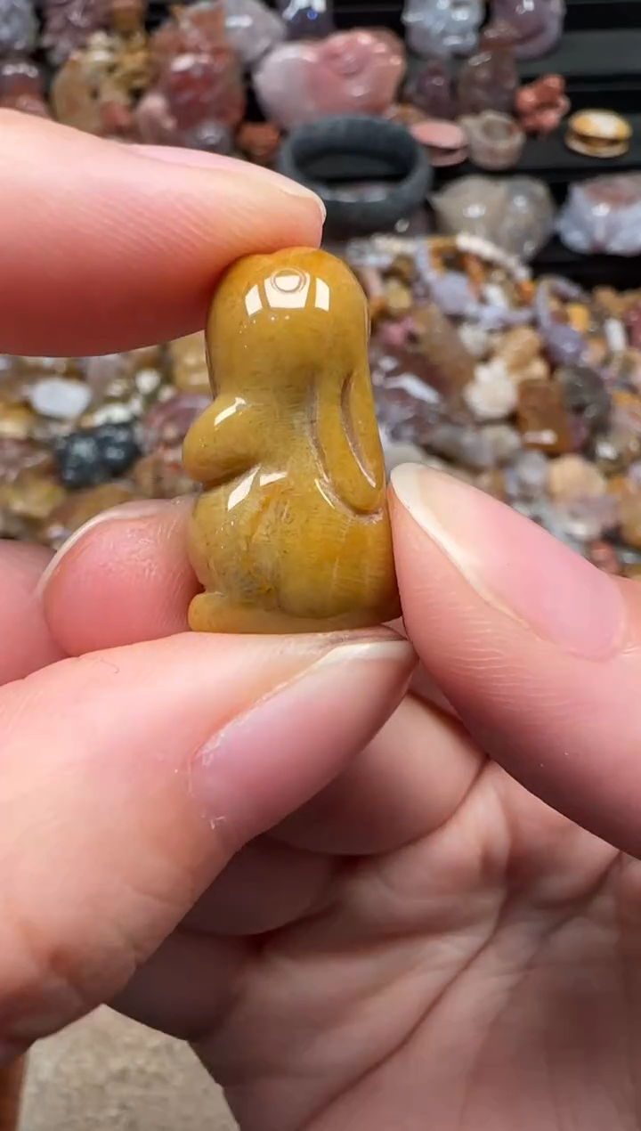 颈饰未镶嵌硅化珊瑚（珊瑚玉）025