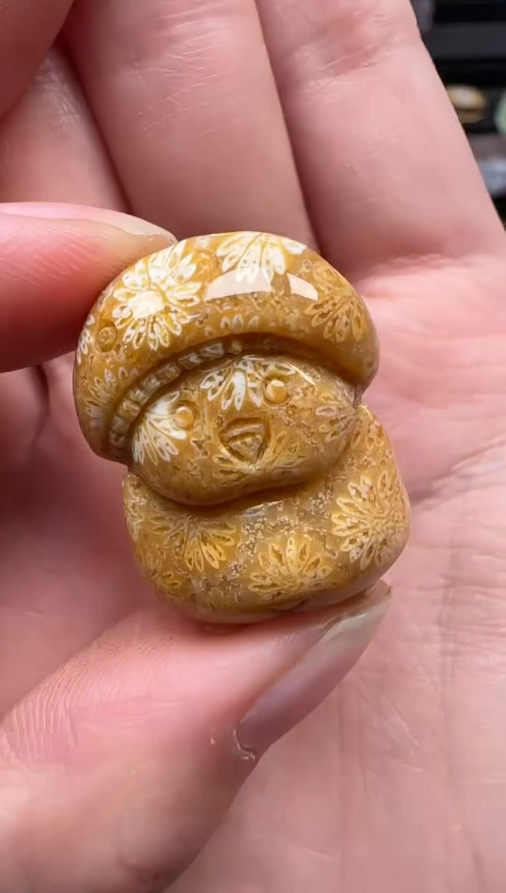 颈饰未镶嵌硅化珊瑚（珊瑚玉）687