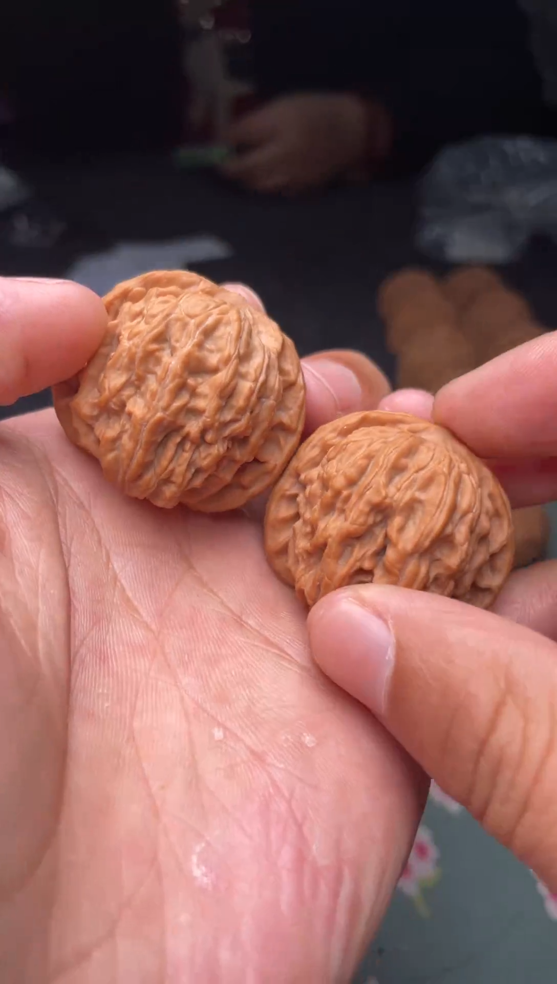 把件文玩核桃a359  红豆 36尺