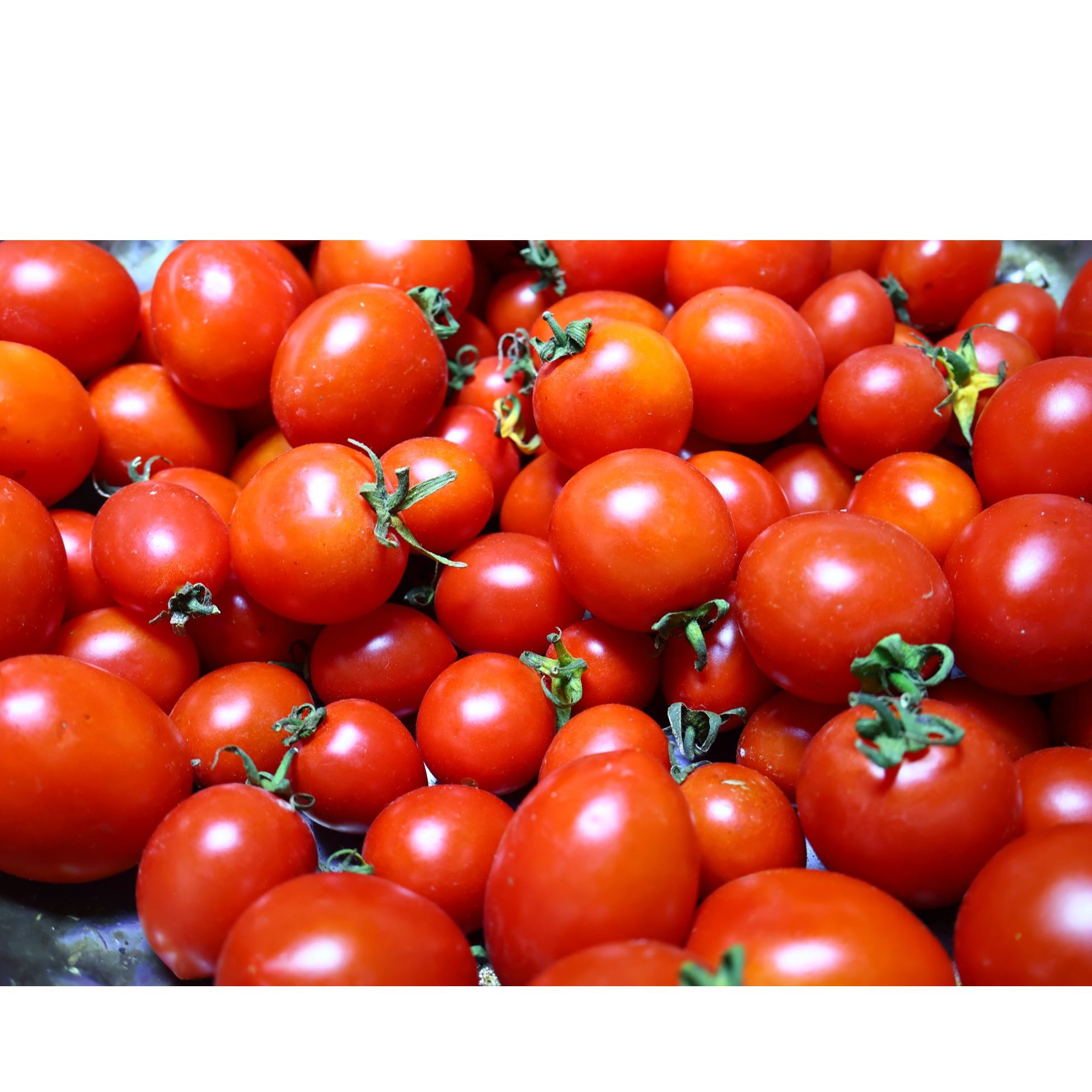 入冬的仪式感是可以吃当季的广西纯天然圣女果。现摘小番茄自然熟