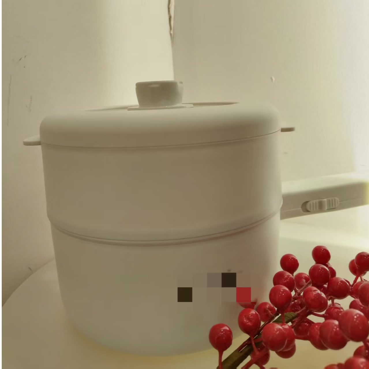宿舍电煮锅 家用电煮汤锅双层蒸锅 随机发 RS