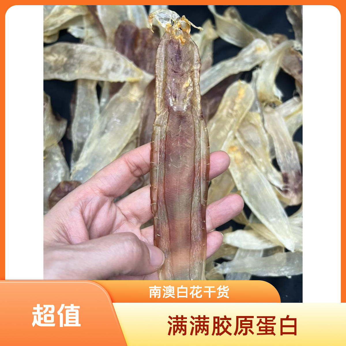 【南澳珠姐】 南澳岛深YY老白花 渔乡直播链接