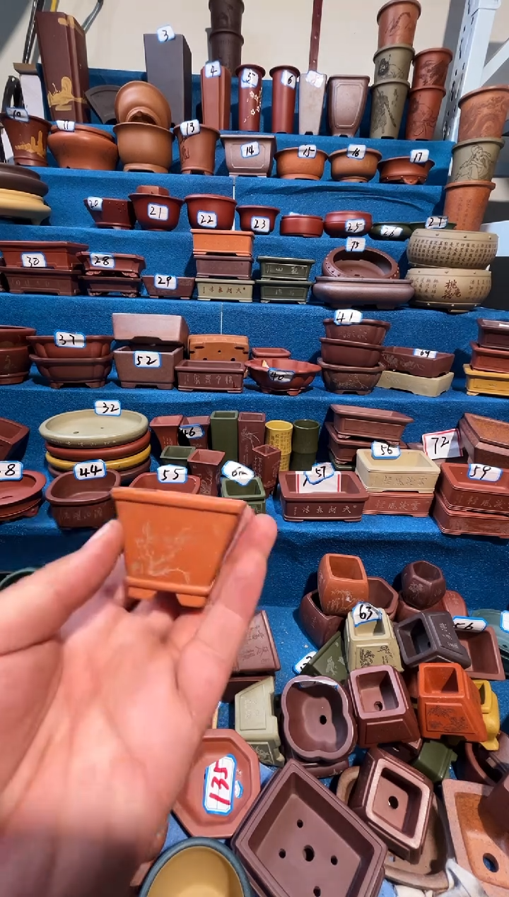 【闪购商品】紫砂紫砂花盆4.5*3.5