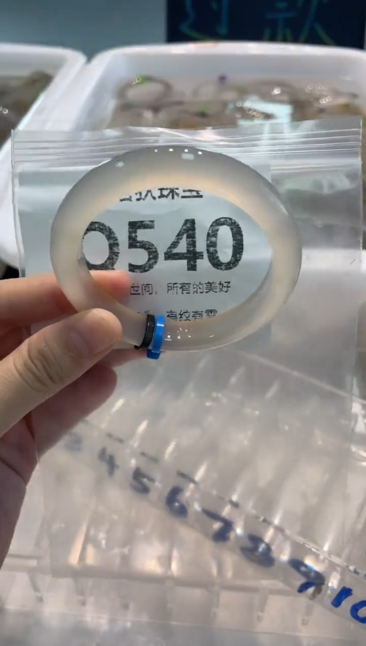 手镯玛瑙/玉髓未镶嵌Q540