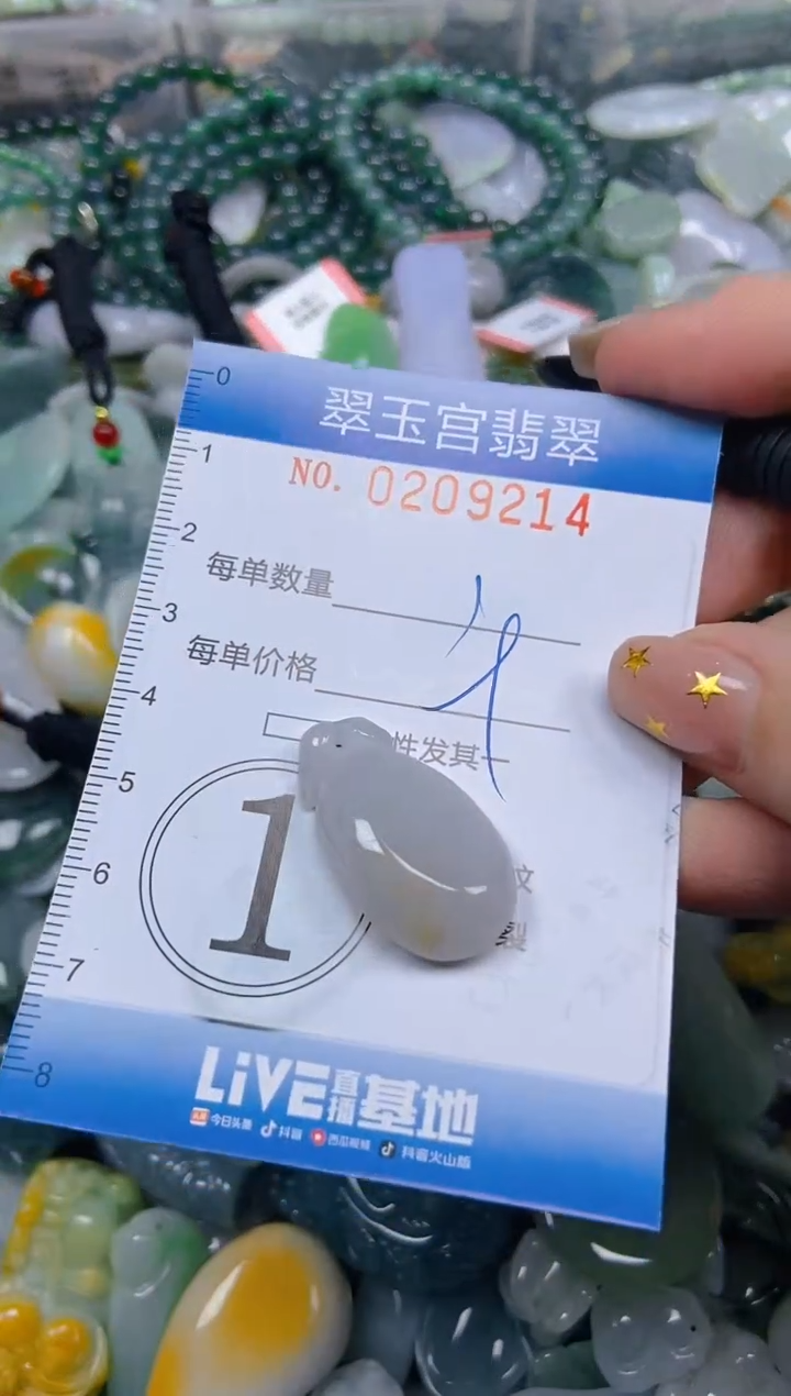 颈饰未镶嵌翡翠闪购C0209214