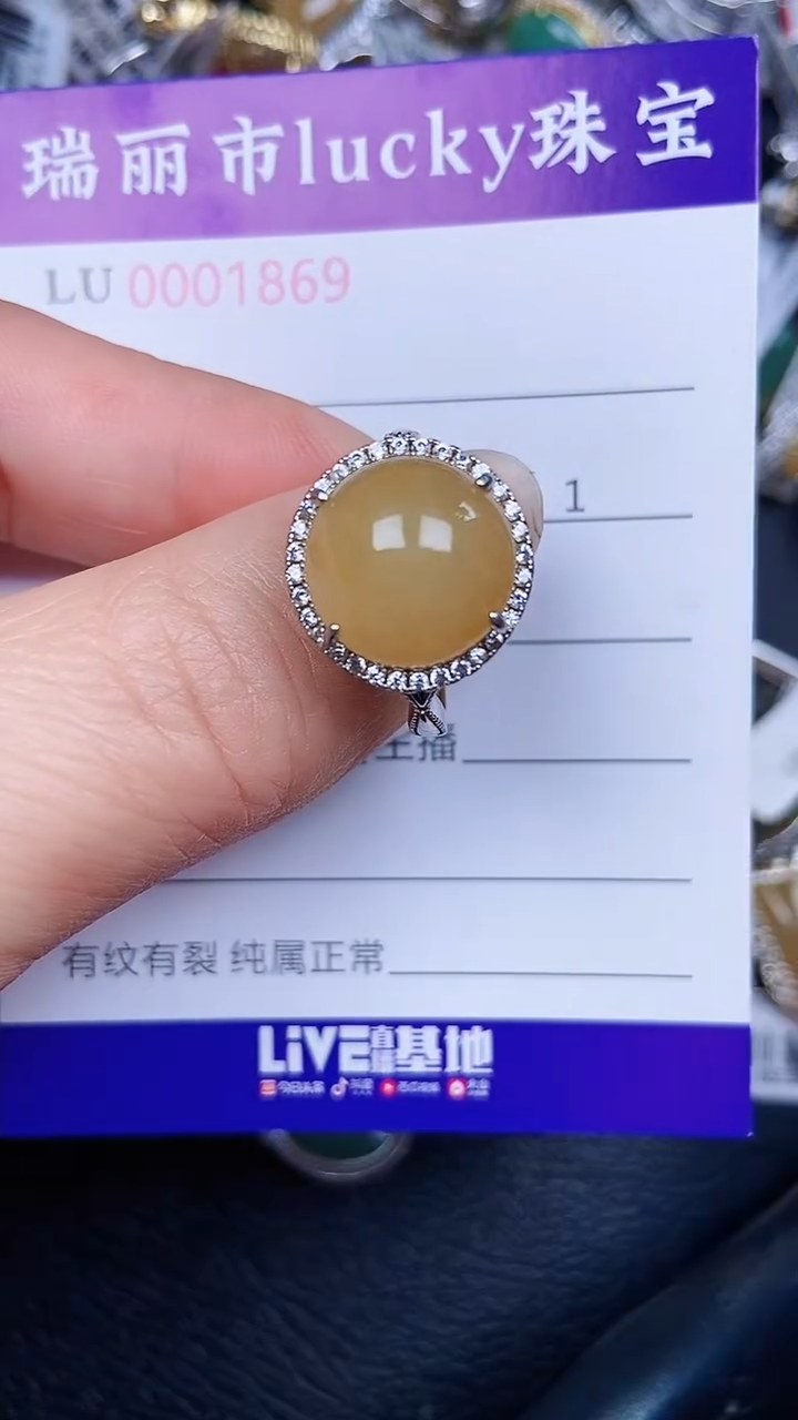 颈饰银S925镶嵌翡翠1869