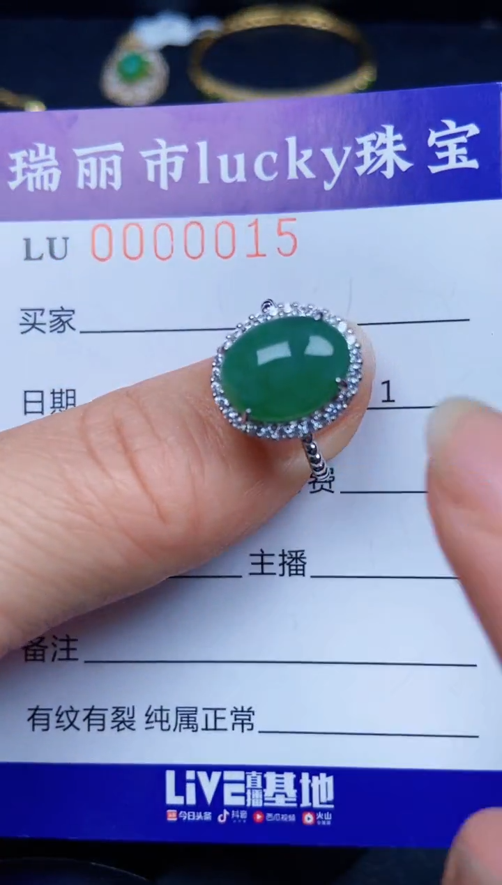 【闪购商品】翡翠颈饰银S925镶嵌0015