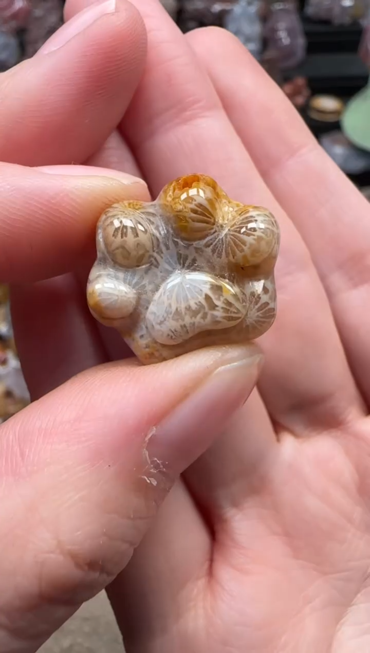 颈饰未镶嵌硅化珊瑚（珊瑚玉）285