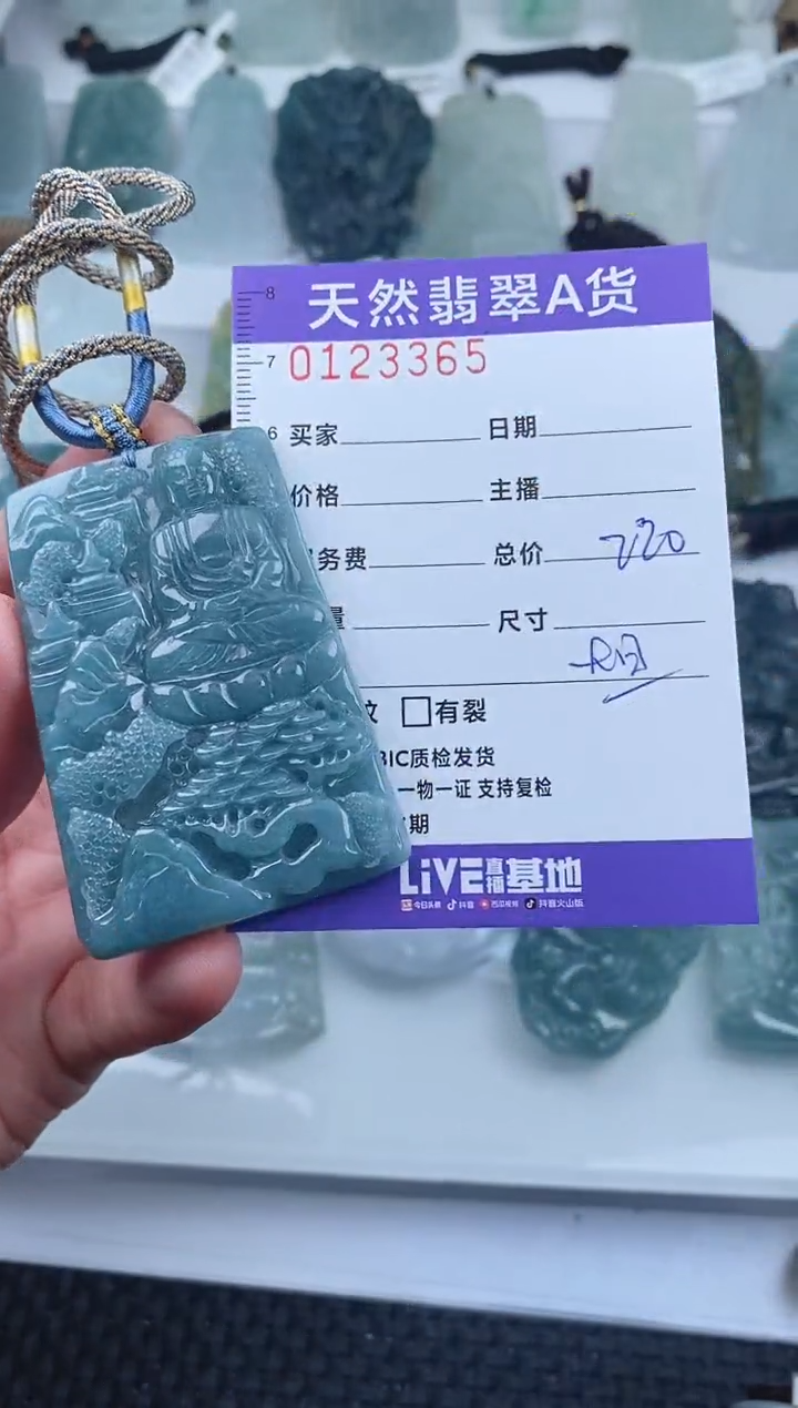 【闪购商品】翡翠颈饰未镶嵌        365