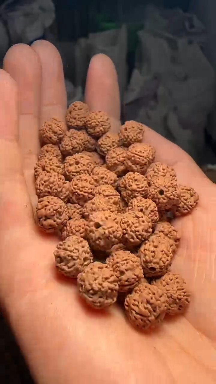 金刚菩提手串非全品平细散籽10-11mm一份一百颗