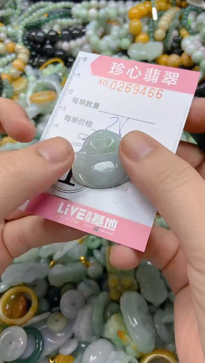 翡翠未镶嵌颈饰闪购0269466多样性发其一