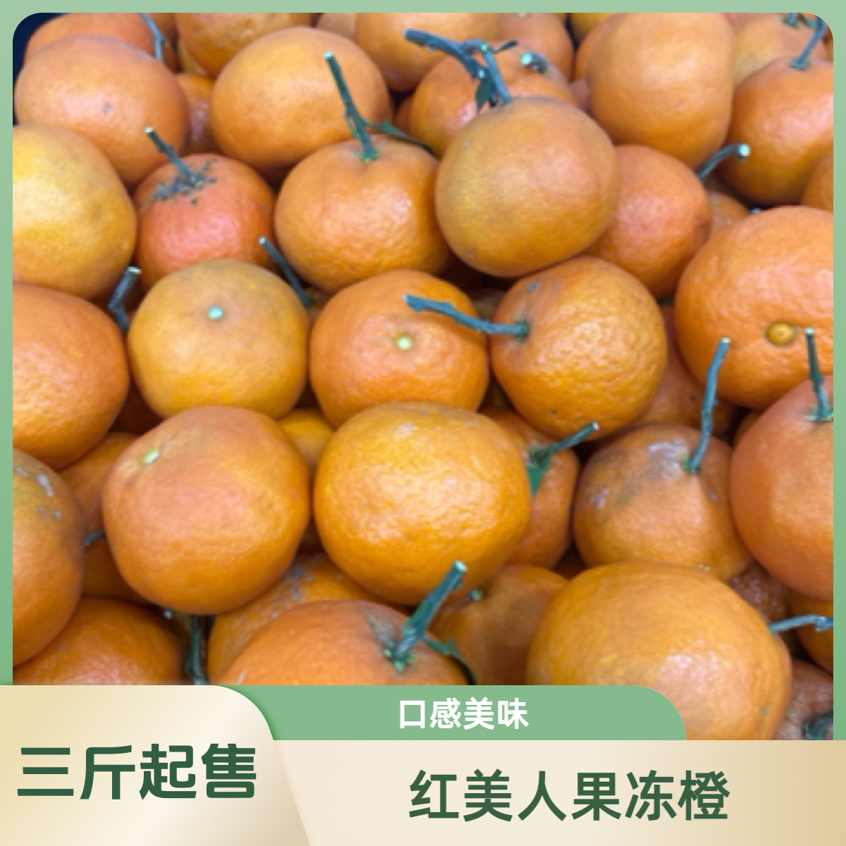 【丁果会员仓】红美人果冻橙（三斤）