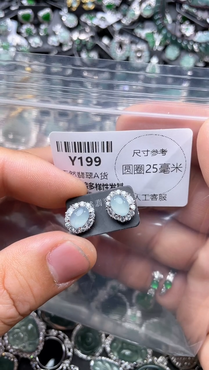 【闪购商品】翡翠颈饰未镶嵌Y199耳钉