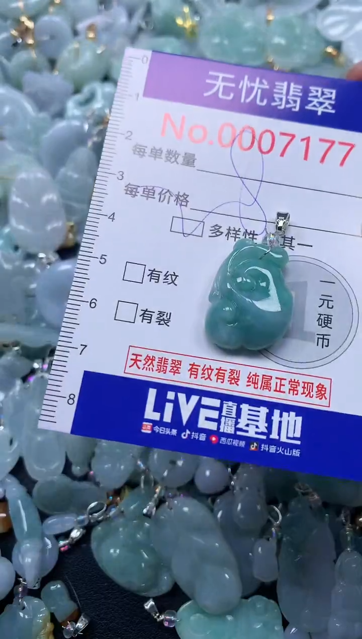 颈饰未镶嵌翡翠7177