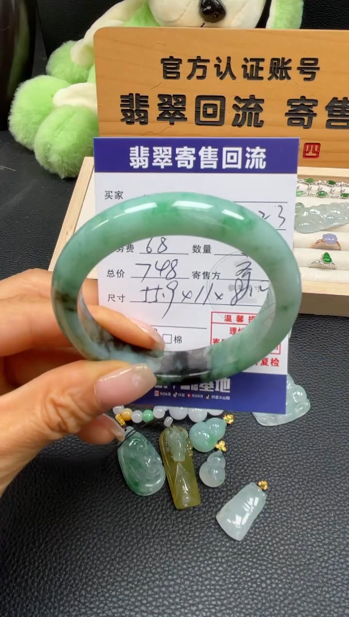 未镶嵌手镯翡翠10152393