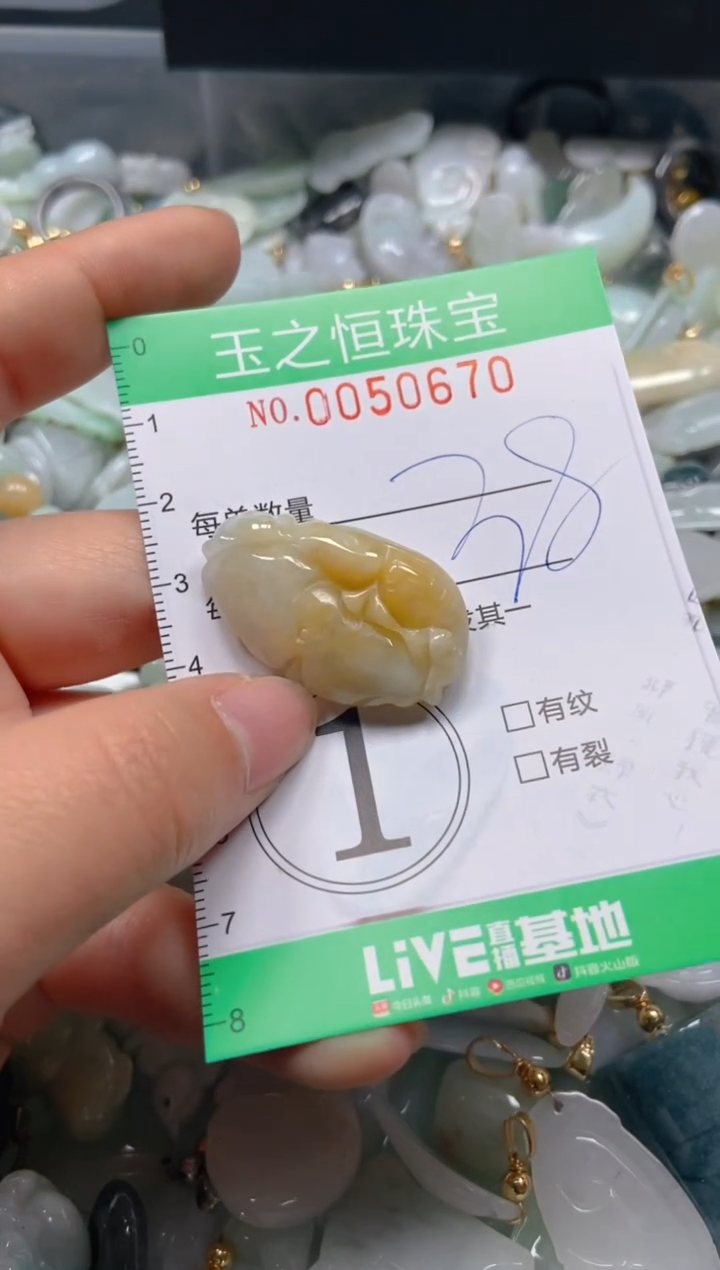 【闪购商品】翡翠颈饰未镶嵌闪购0050670