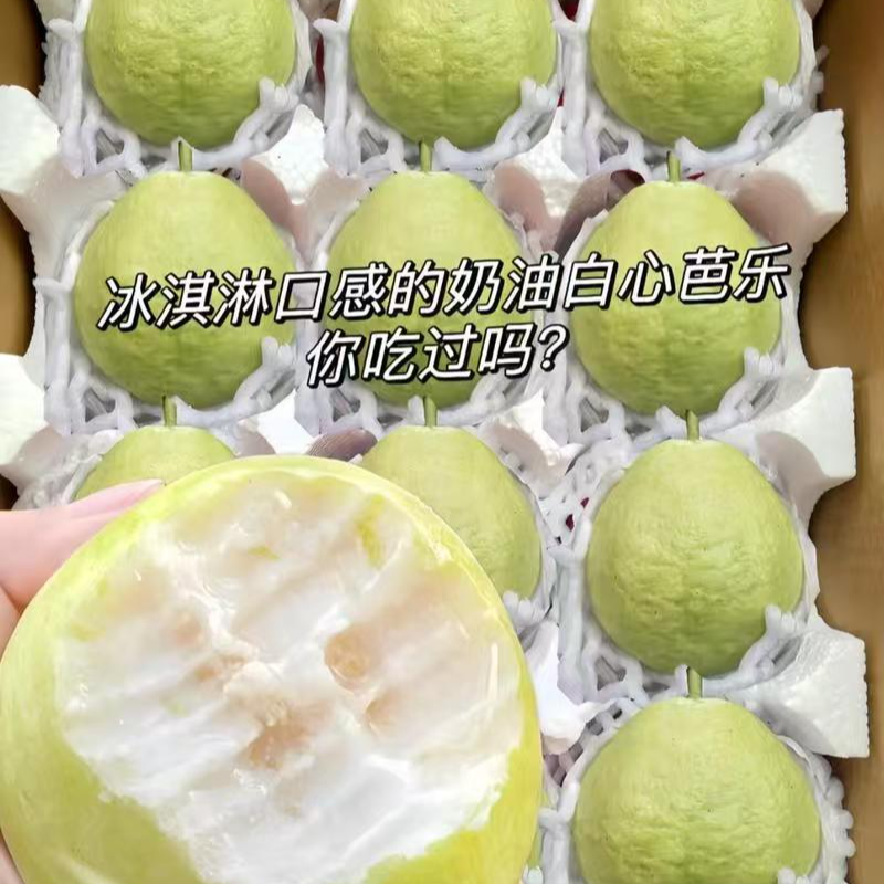 【顺丰包邮】奶香芭乐皮薄奶香肉厚净重2斤左右