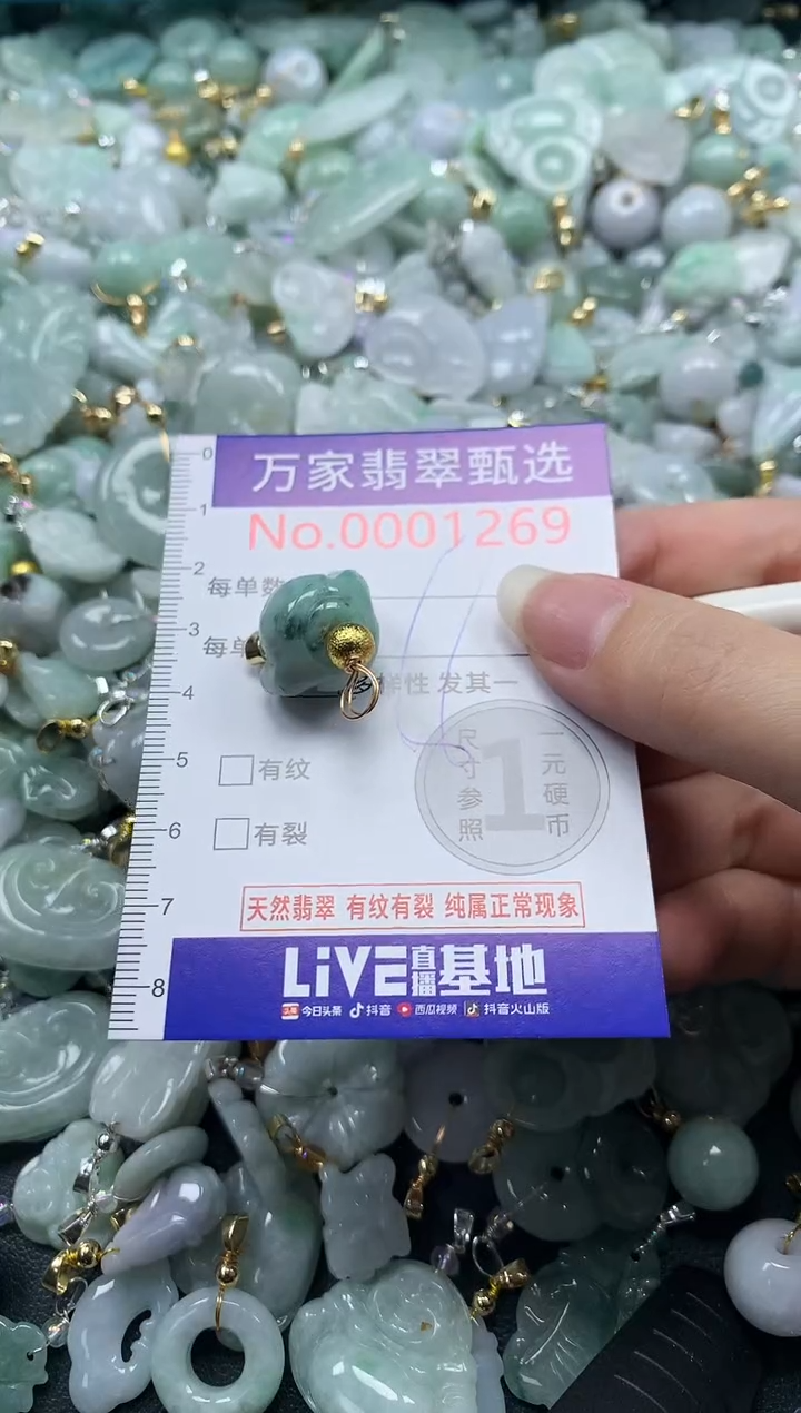 吊坠(不含链)未镶嵌翡翠1269