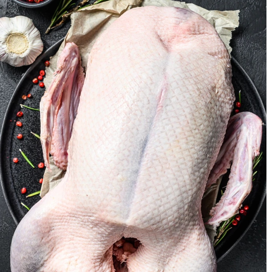 【小南瓜】特大狮头鹅肉肉质鲜美农场散养