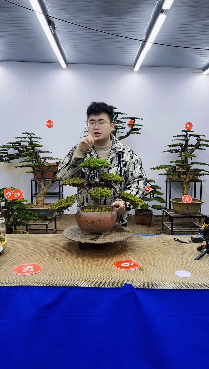 无花朵一物一拍，所见即所得