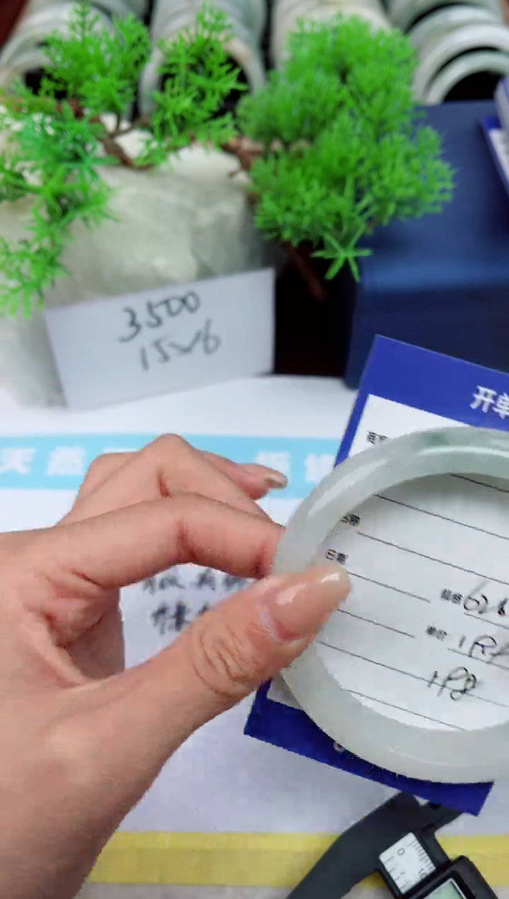 【闪购商品】石英质玉手镯未镶嵌198