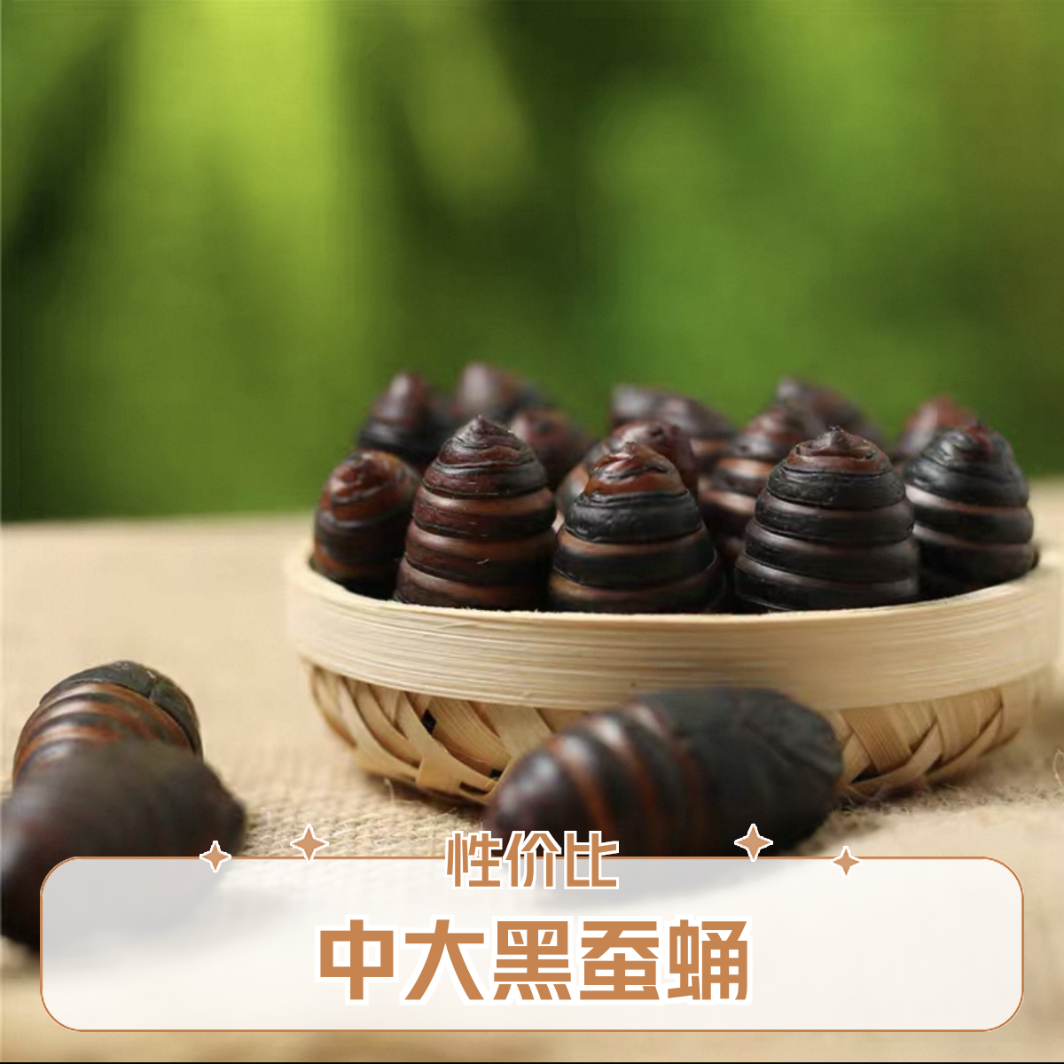 东北柞蚕中大黑蚕蛹（性价比天花板）