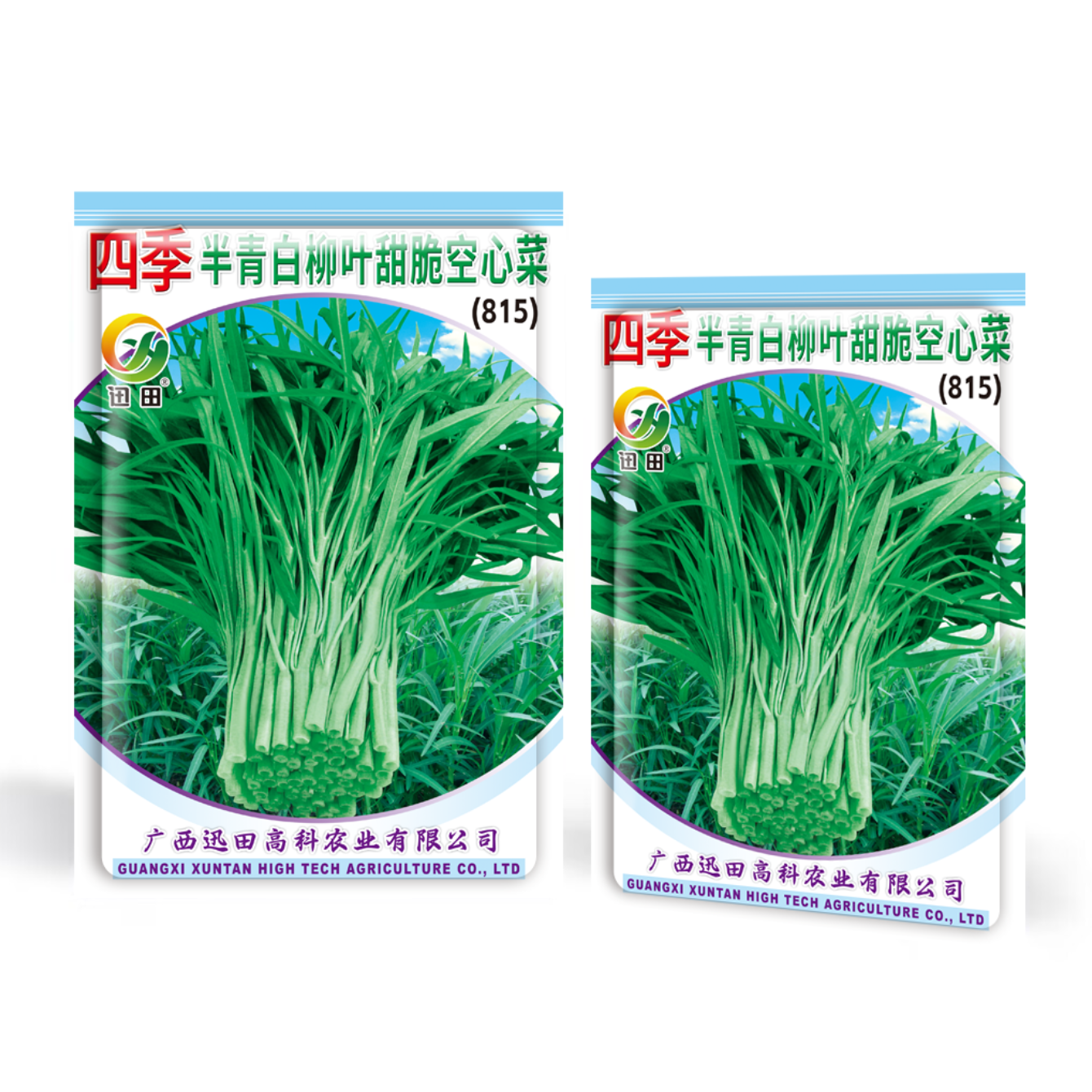 空心菜种子815*四季半青白柳叶甜脆空心菜种籽