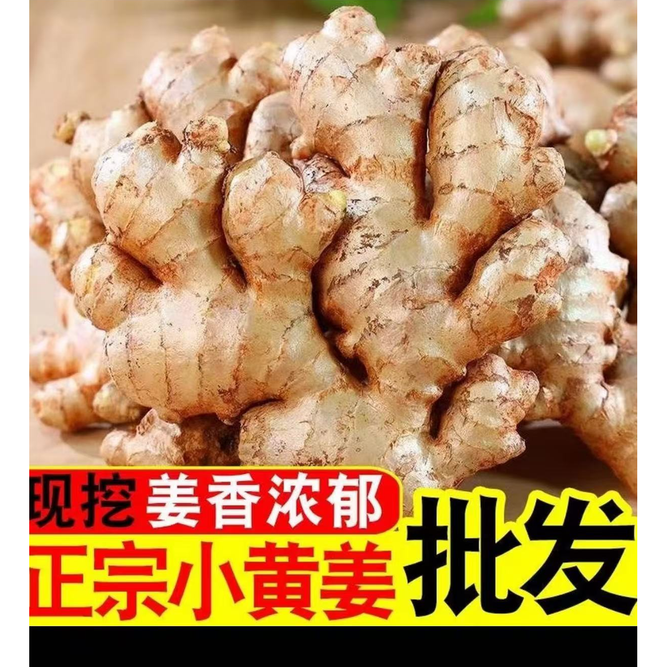 C 正宗高山小黄姜地里现挖新姜嫩姜源头现发香嫩浓郁