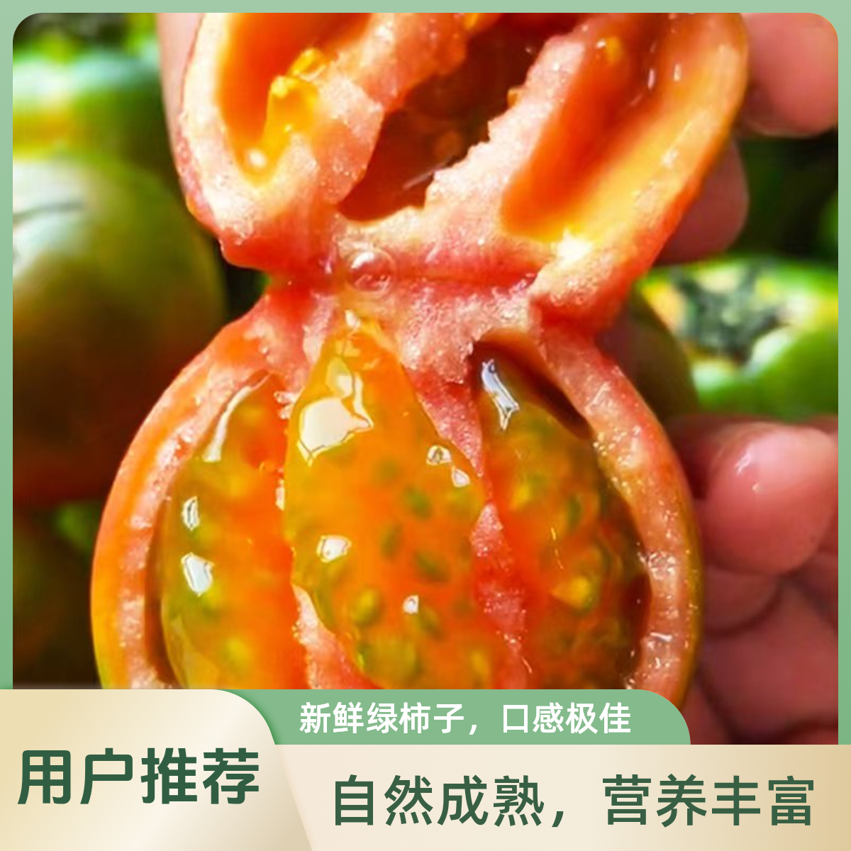 【草莓西红柿4斤/5斤】密云本地铁皮草莓西红柿绿腚西红柿小时候味道碱地老品种西红柿北京市