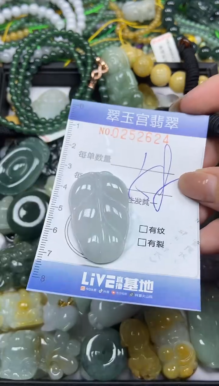 颈饰未镶嵌翡翠闪购C0252624