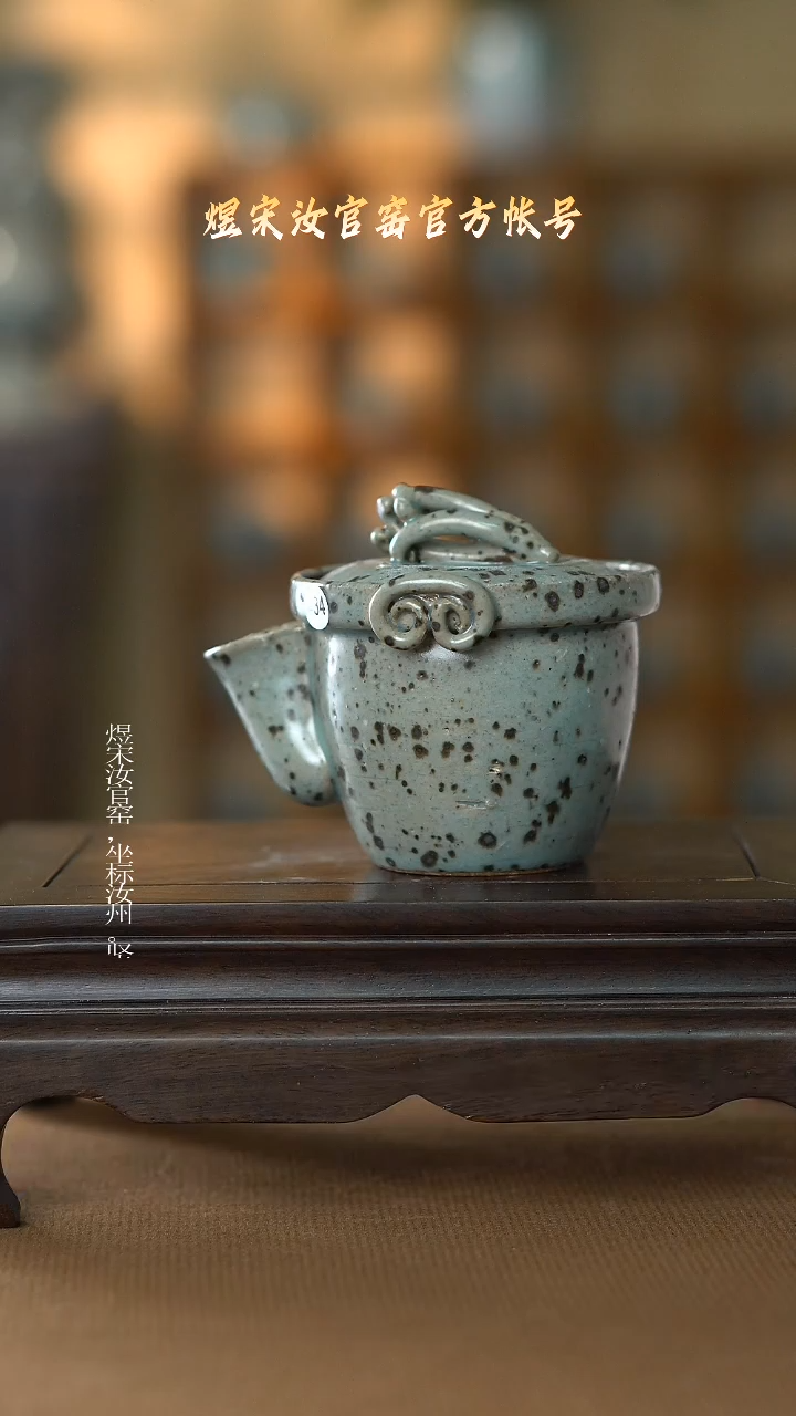 【闪购商品】盘壶浮力..............