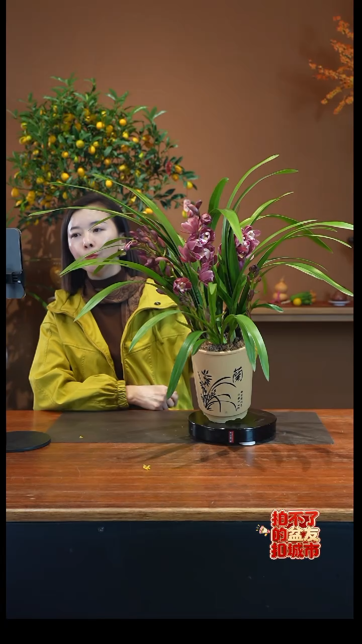 全部花朵红宝石杏色