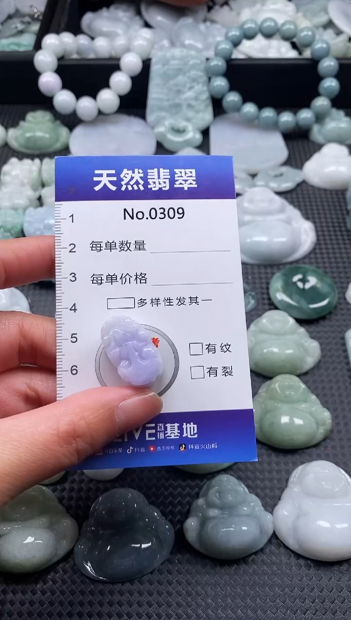 【闪购商品】翡翠颈饰未镶嵌缅甸A货翡翠0309