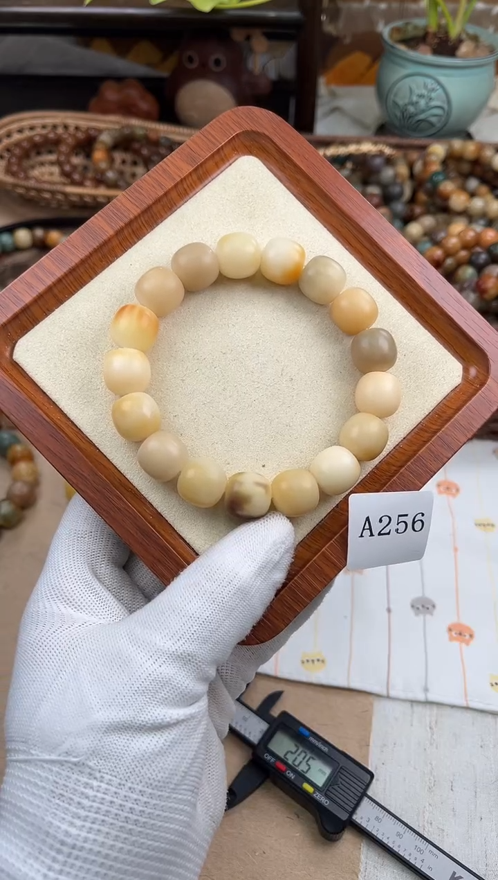 手串菩提根/象牙果256卡15 干磨瑕疵泡泡糖