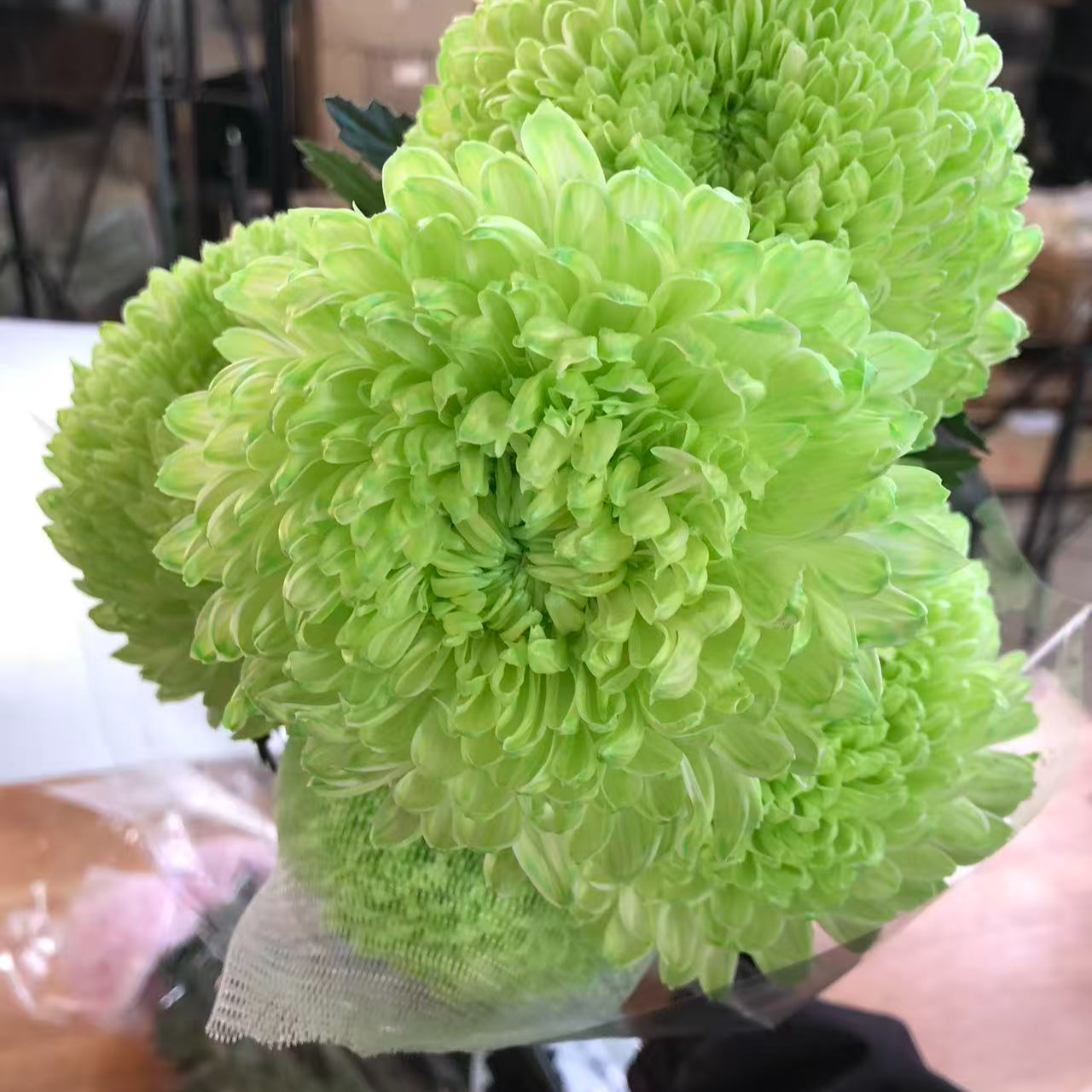 A级稀有青苹果牡丹菊5枝