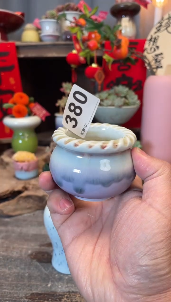 【闪购商品】摆件380知木小芳花盆